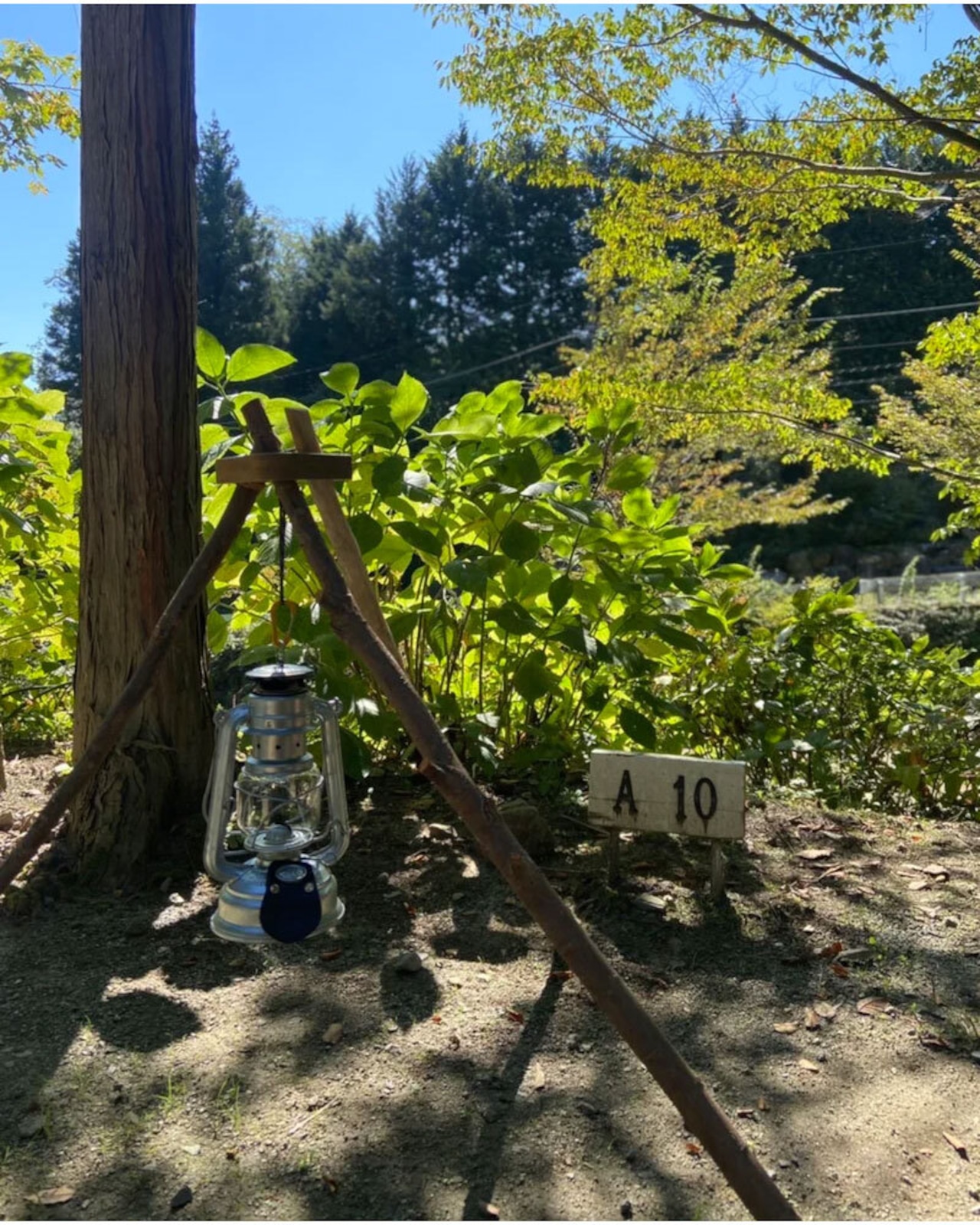 Mt.Paulownia(マウントポローニア) TRIANGLE WOOD HOLD トライアングルウッドホールド