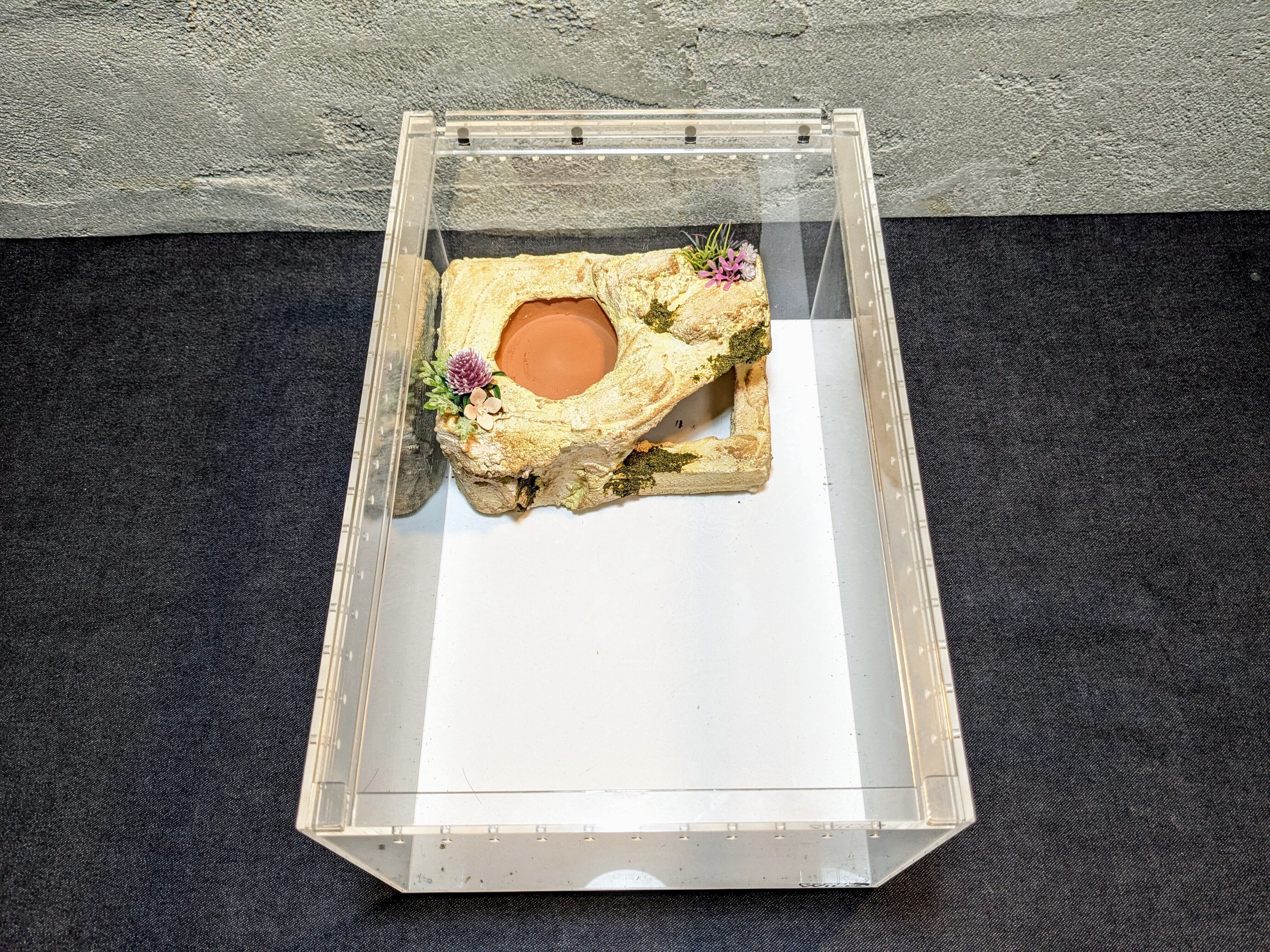 専用ウェットシェルター 粋 Iki】オリジナル ウェットシェルター（ベージュ） | 爬虫類用造形