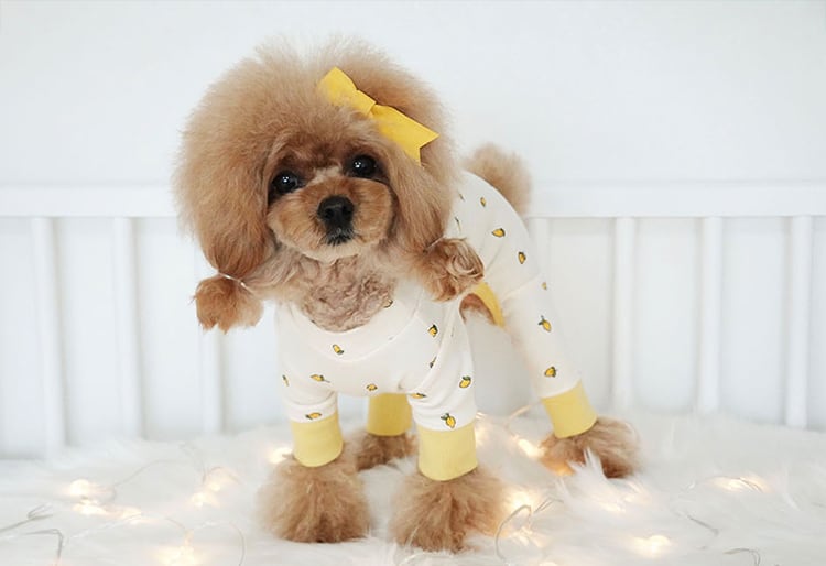 NEW CUTE ロンパース XS ~ XL 3color  /  犬服 春夏 新作 ドッグウェア オールインワン ロンパース ストレッチ 犬の服 つなぎ 猫 tsu34
