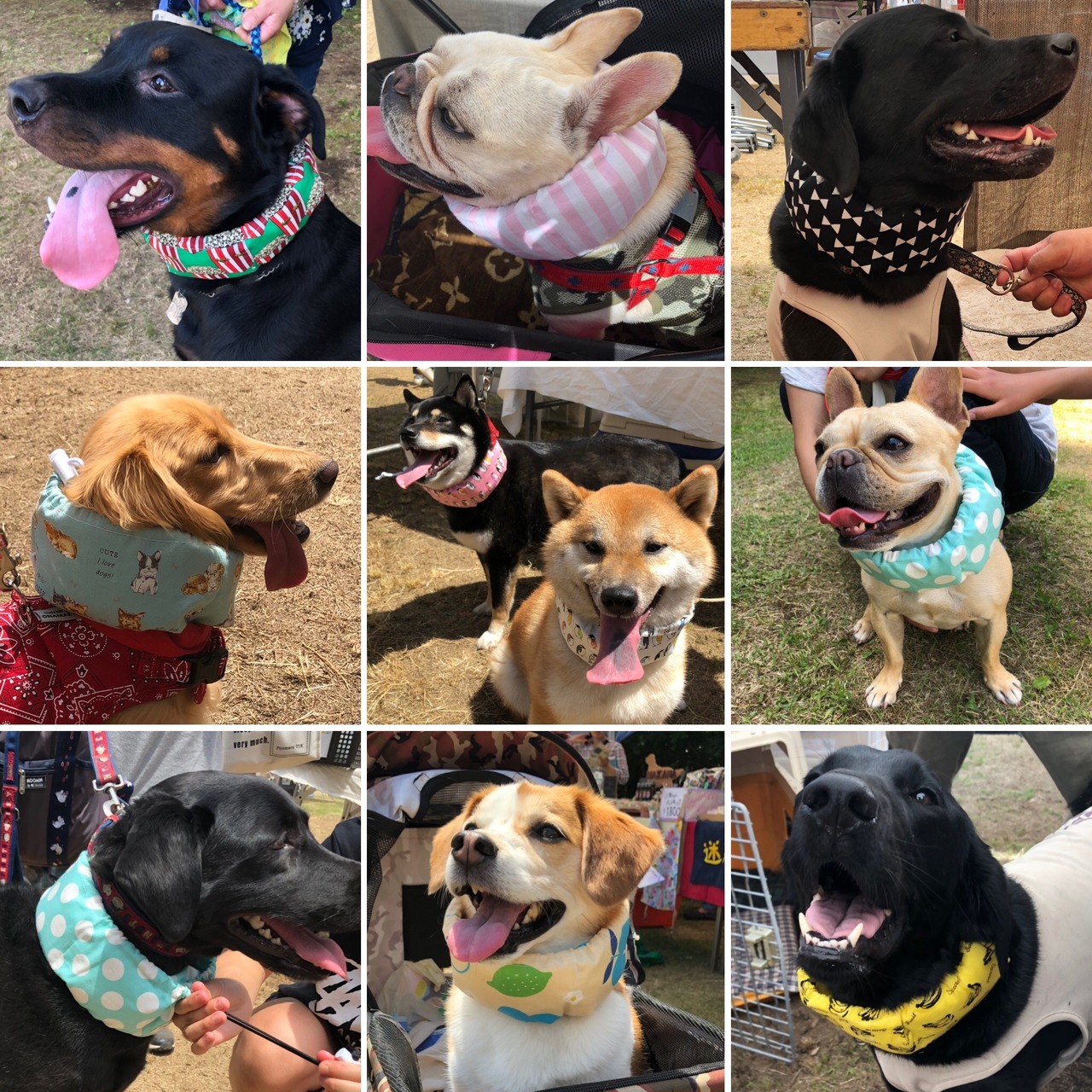 S★4ポケット仕様★ ネッククーラー