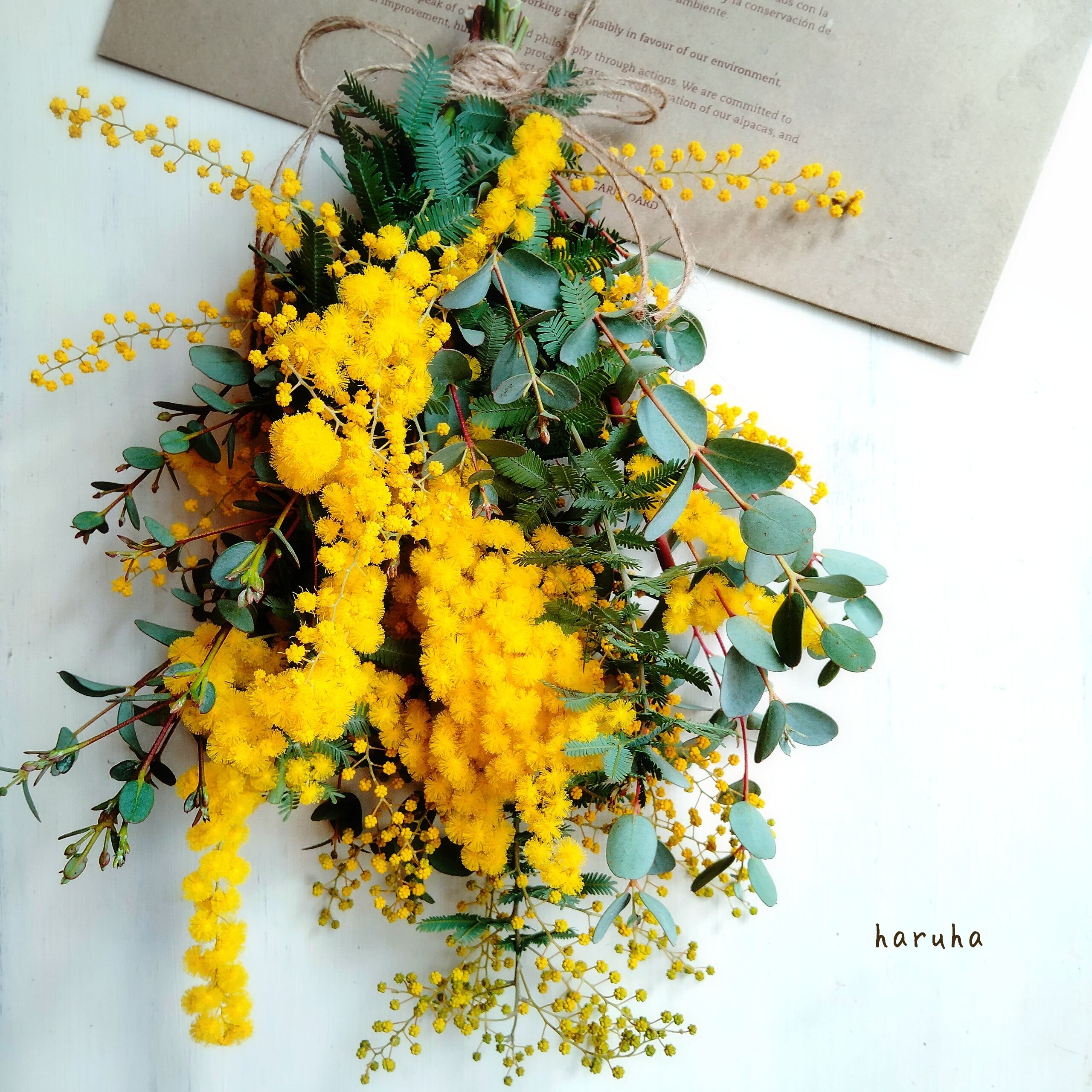 ユーカリとミモザのスワッグ お花屋さんアトリエharuha はるは