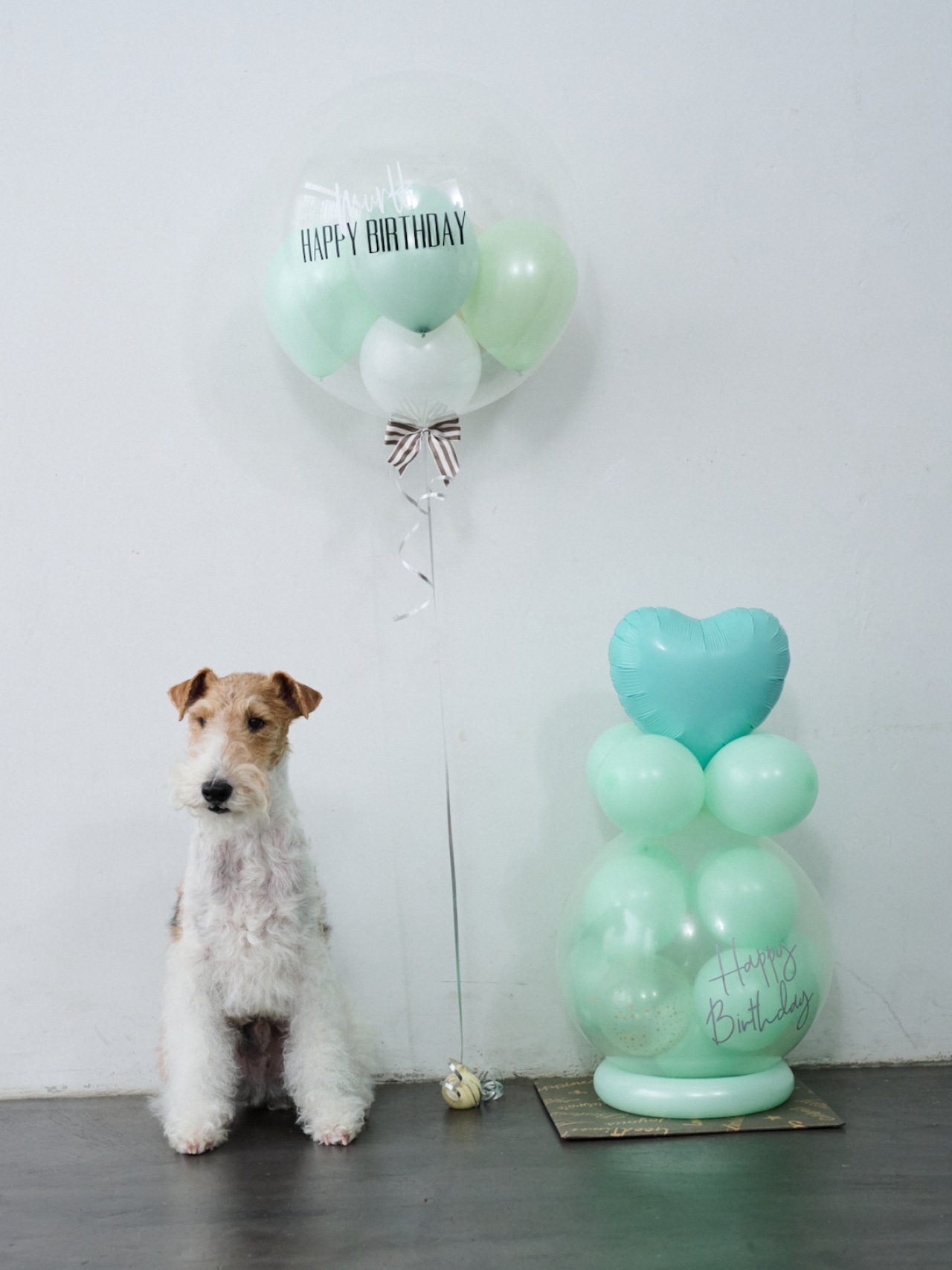 BUBBLE BALLOON sizeL ピンク