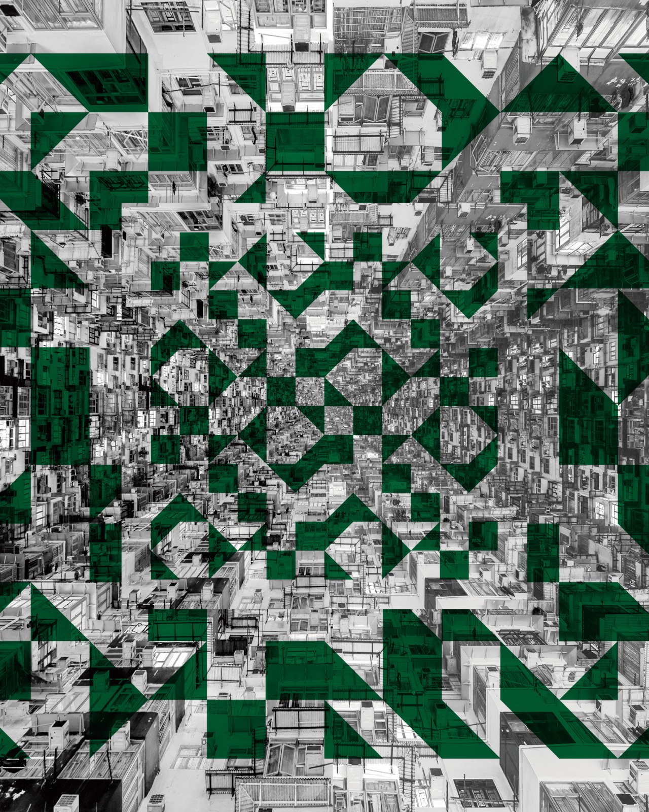 ＜Experimental #005 Green Curry // エクスペリメンタル #005 グリーンカレー＞ 500ml缶