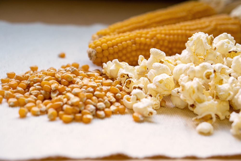 ホイップコーン 5000粒以上 楽天市場】ホイップコーンの通販