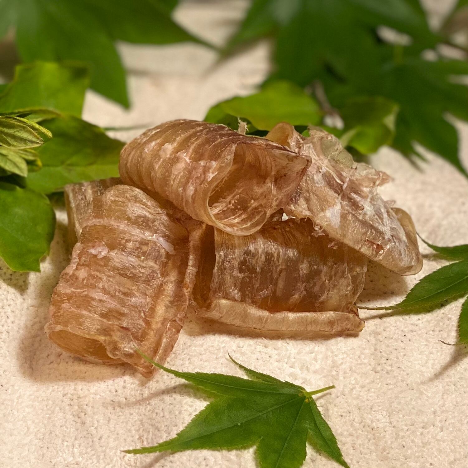 【送料無料&できたて発送】 栄養満点⭐︎鹿ウルテガム