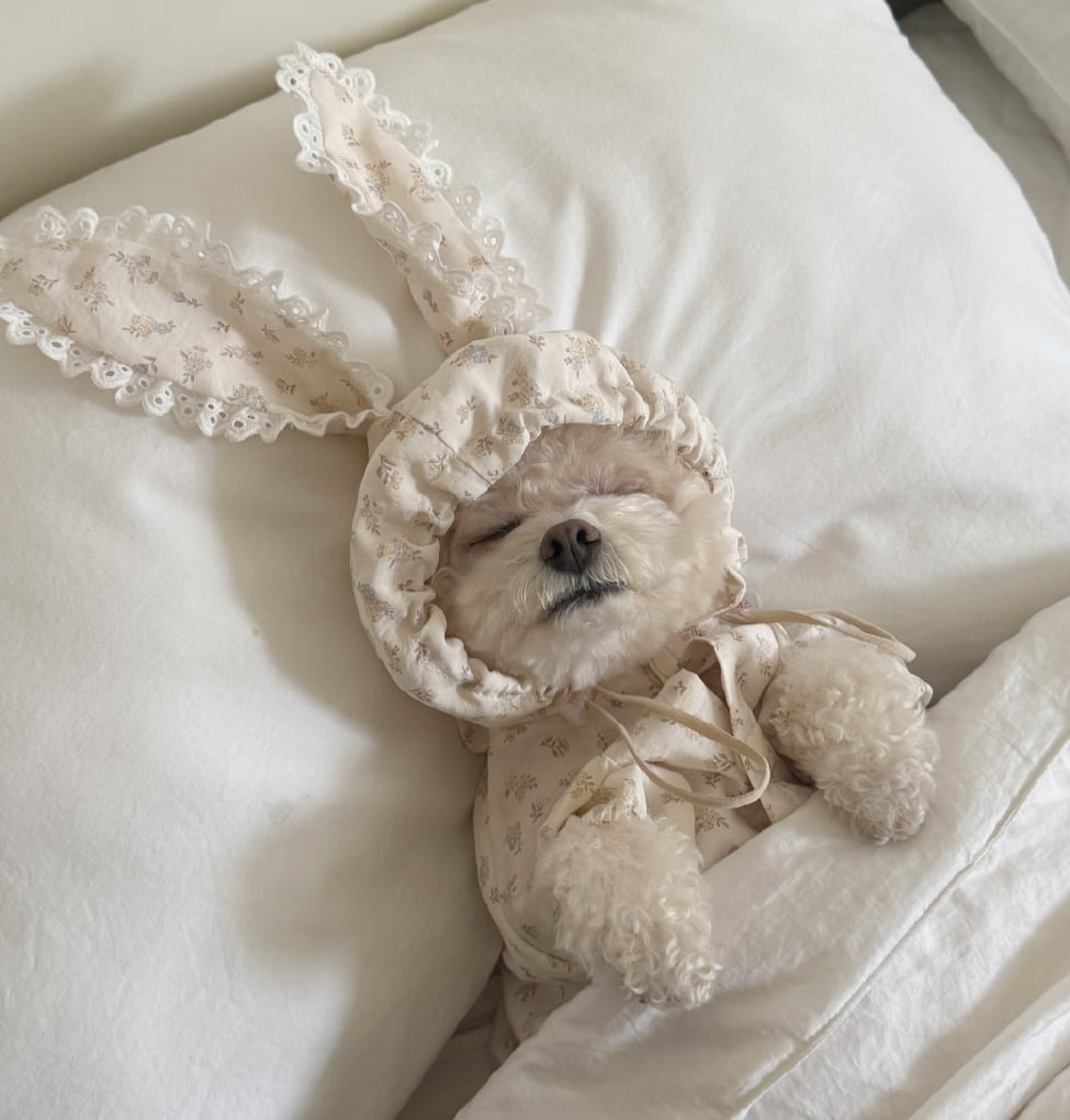 予約【meaningless】Rabbit Windbreaker