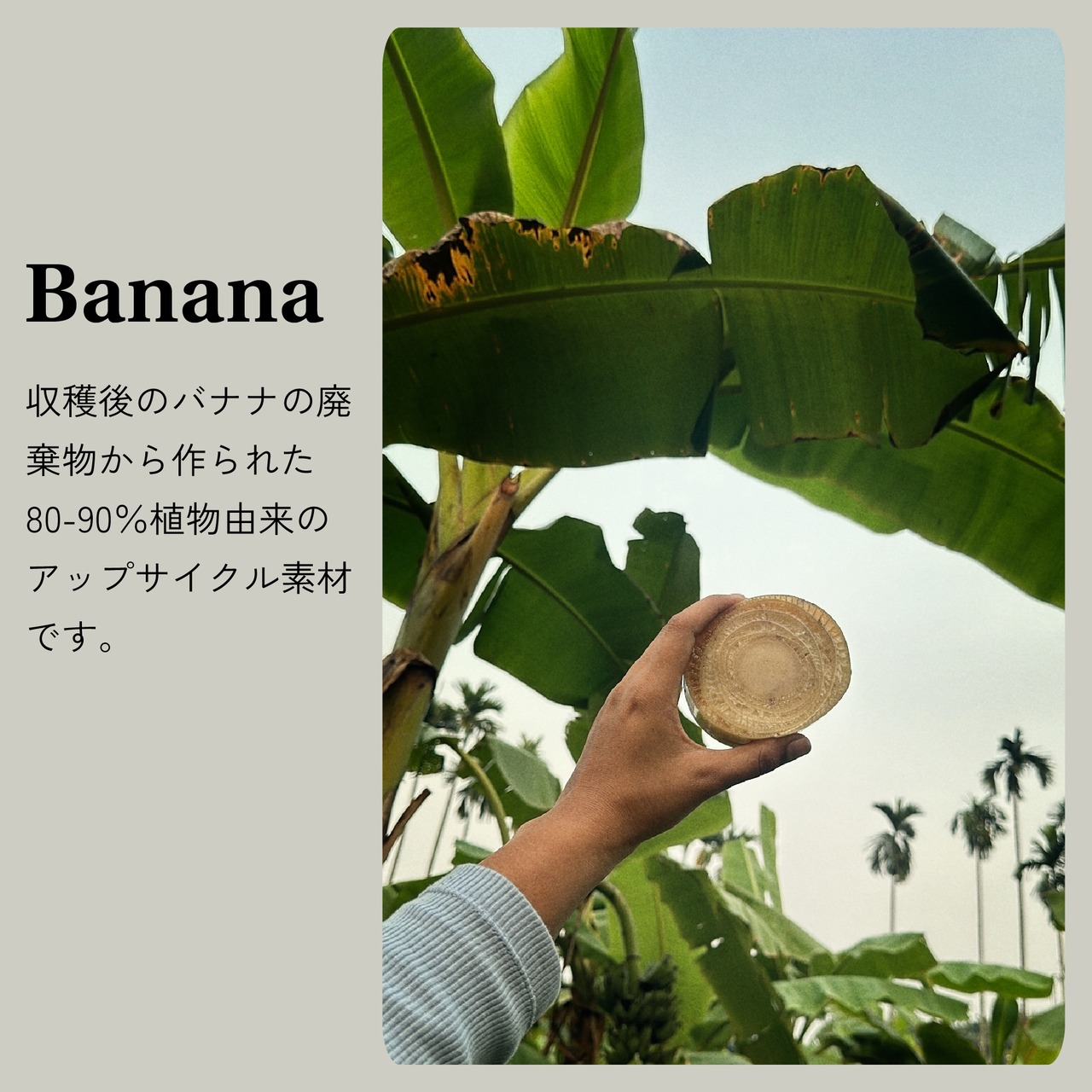 Legato コンパクト財布　バナナ　ブラック