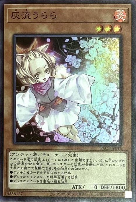 【美品】灰流うらら(PAC1スーパー)