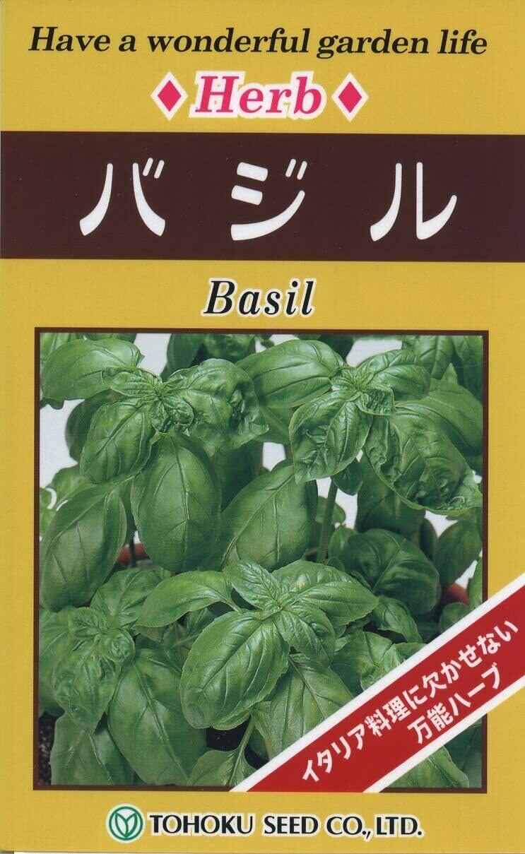 スイートバジルの種（約15粒入り） | かいぬま農園