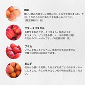 選べる6個セット(32種類の中からお好きなものを)