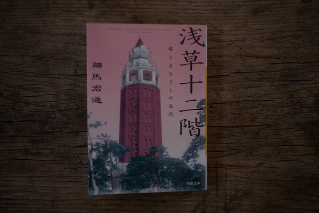 浅草十二階　-塔とまなざしの近代-　／　 細馬宏通