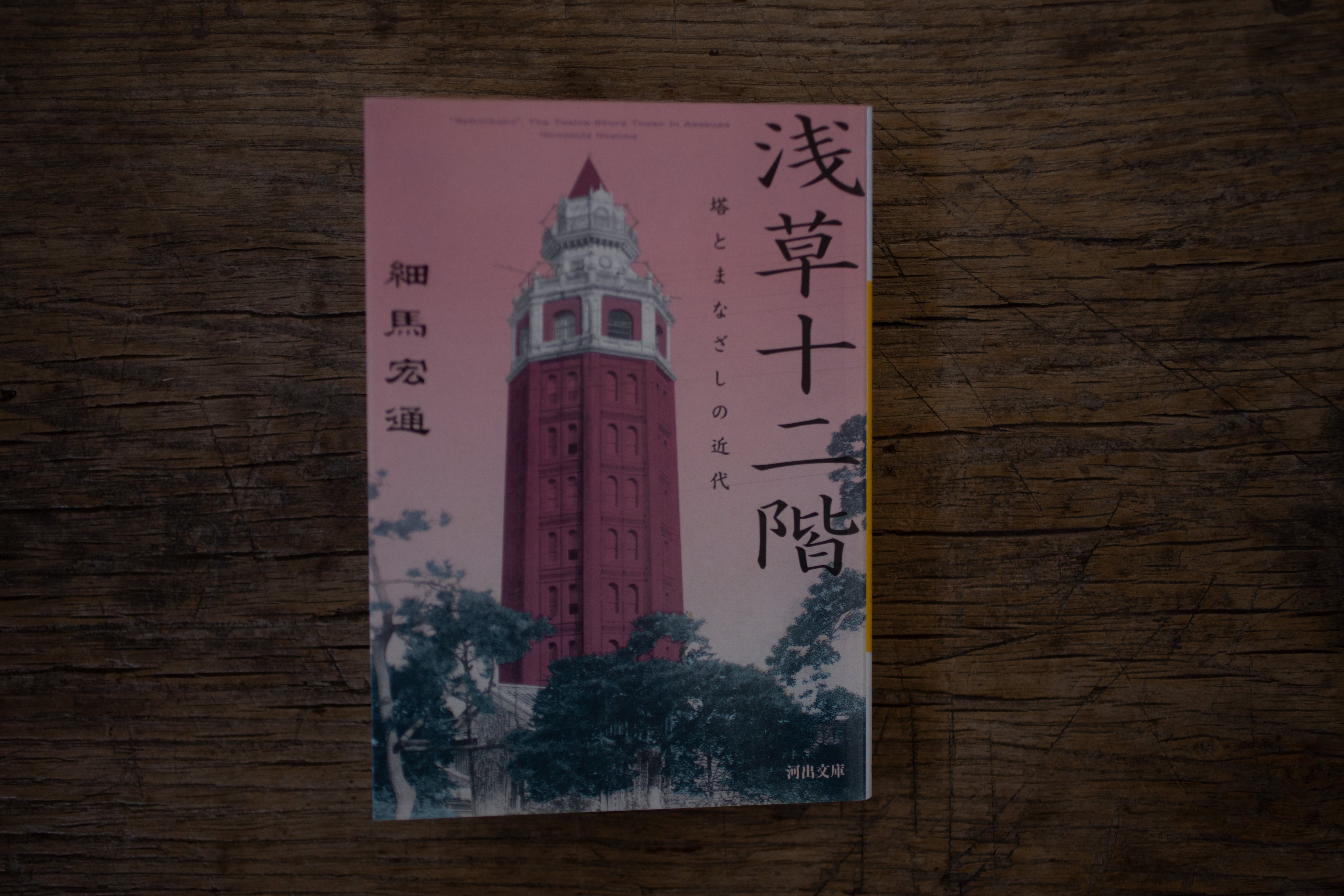 浅草十二階 -塔とまなざしの近代- / 細馬宏通
