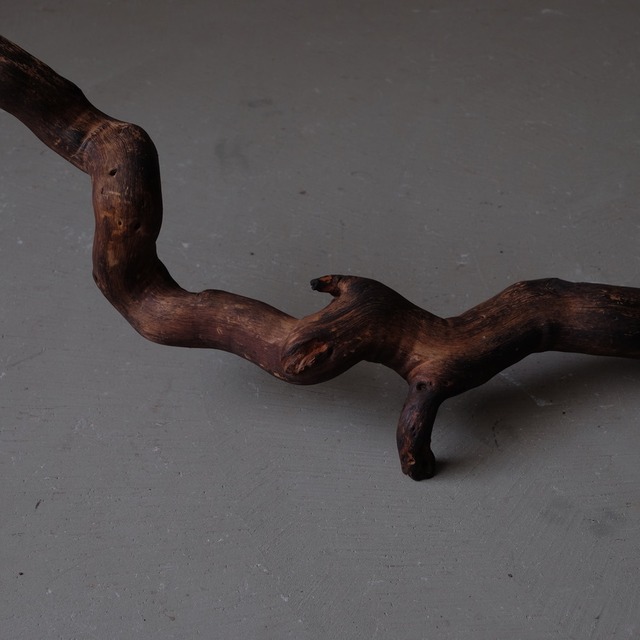 Branch