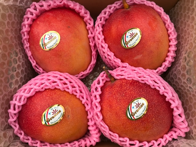 3l 4l特大4個 グラシアスマンゴー メキシコ産ケント種 送料込 レインボーフレッシュ 3l 4l特大4個 グラシアスマンゴー メキシコ産ケント種 送料込 レインボーフレッシュ