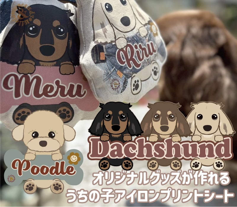 うちの子 わんこ 名入れ アイロンプリントシート DTF転写シート | 雑貨