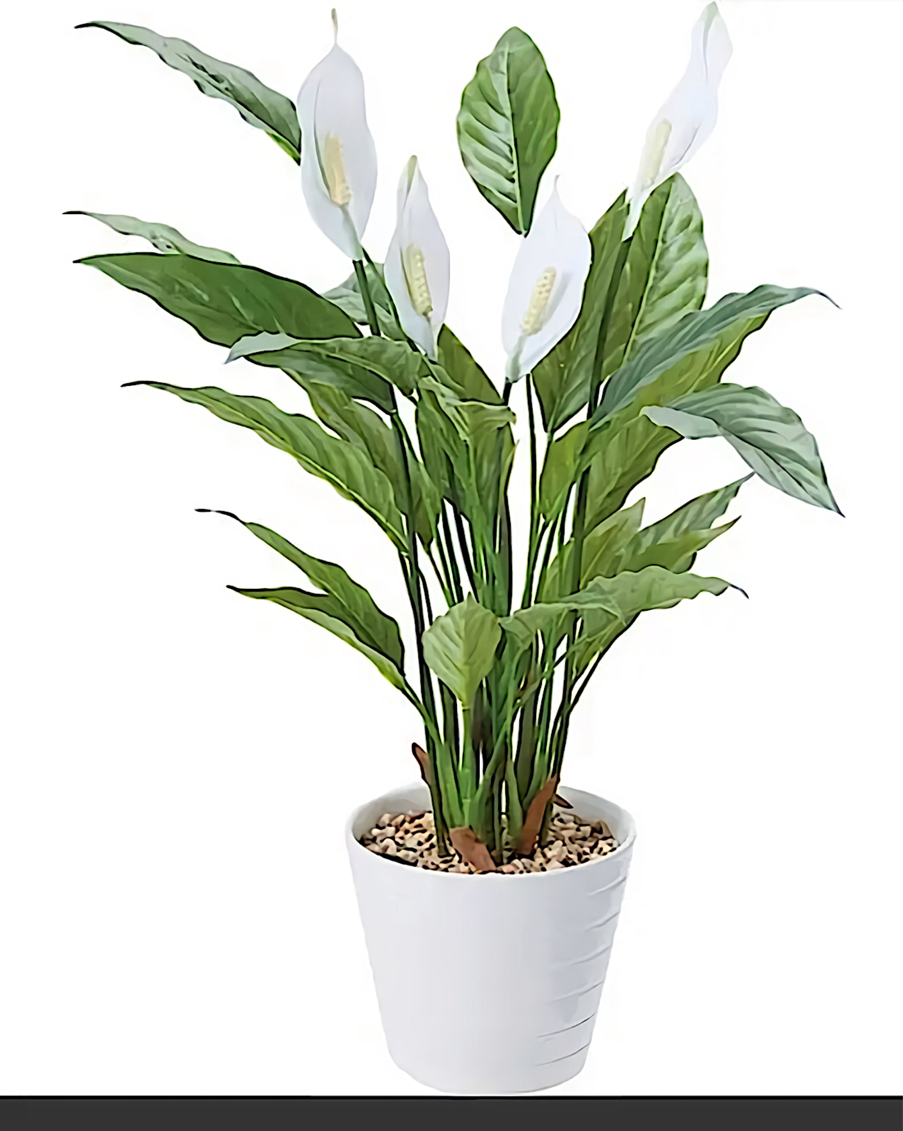 光触媒 人工観葉植物 ウォールグリーン フェイクグリーン ウサギs