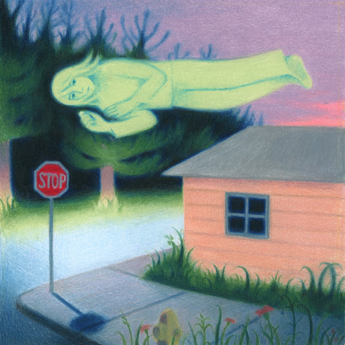 fanclubwallet / Living While Dying（500 Ltd Pink LP）