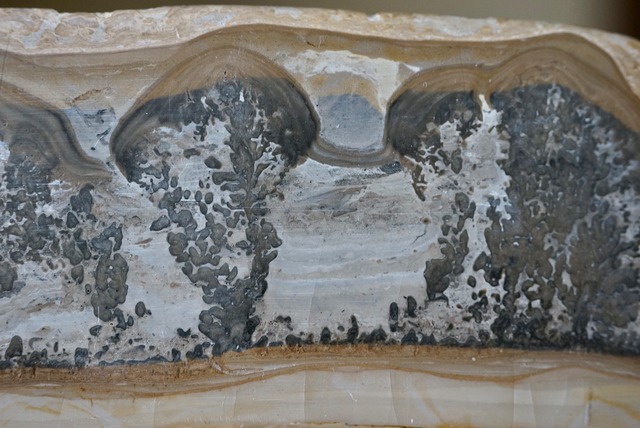 コタム・マーブル　Bristol Picture Stone ②