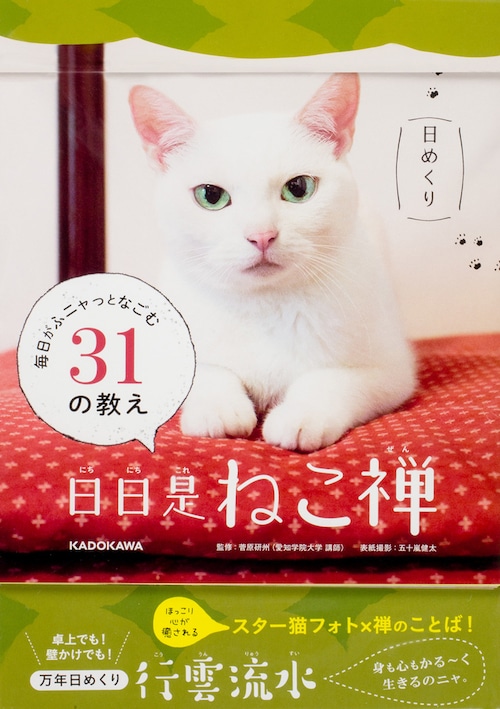  【日めくり】 日日是「ねこ禅」 毎日がふニャっとなごむ31の教え 