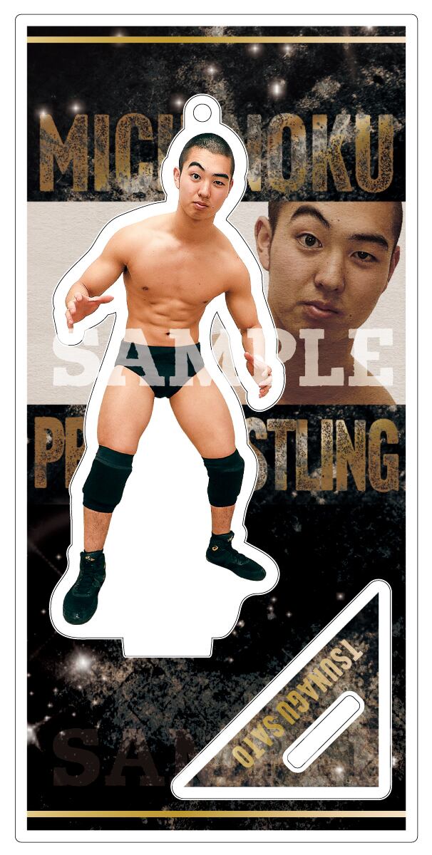 全日本プロレスパンフレット NWAチャンピオンシリーズ | みちのく