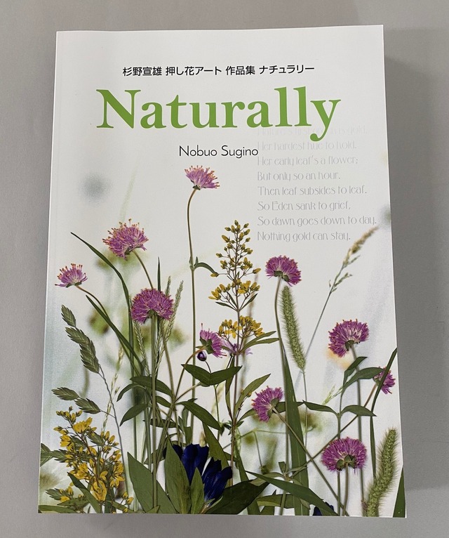 杉野宣雄作品集　押し花アート　JAPAN   NATURE GRAFHICⅡ　