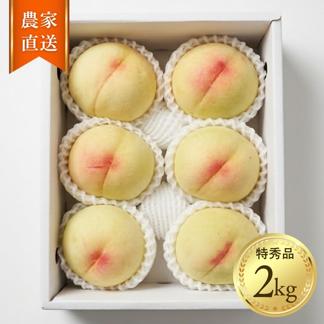 【特秀品】あら川の桃 清水白桃 約2kg（6〜8玉）