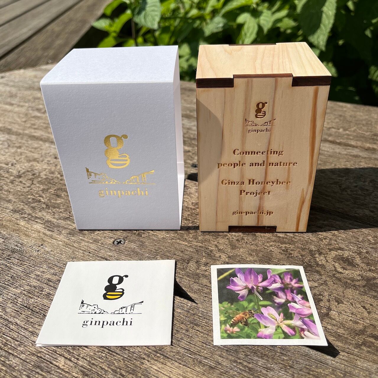 2025年産新蜜】数量限定！ 銀座はちみつ さくら蜜 | 銀座ミツバチ