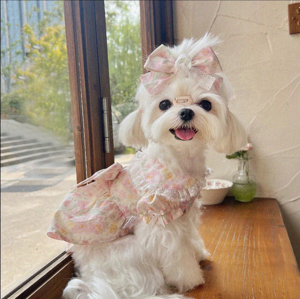 ドッグ 犬 中型犬 小型犬 フレブル チワワ パグ ヨークシャテリア Mダックス ヨークシャー ドッグウェア 室内着 ドレス パジャマ ワンピース アクセサリー ヘアピン フレア セミフレア リボン フリル かわいい きれいめ カジュアル 上品 レトロ 個性的 エレガント フォーマル ヴィンテージ ラブリー キュート ロリータ ラグジュアリー ガーリー 花柄 フラワー 春 夏 ロングシーズン 女の子 成犬 子ども デート お出かけ パーティー イベント リゾート 旅行 海 プール レストラン カフェ 散歩