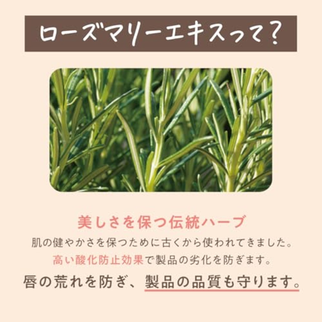 daily delight(デイリーディライト) リップバーム プレミアムバニラ 10g(リップクリーム 缶入り 唇用保湿クリーム 上質なバニラアイスクリームの香り)