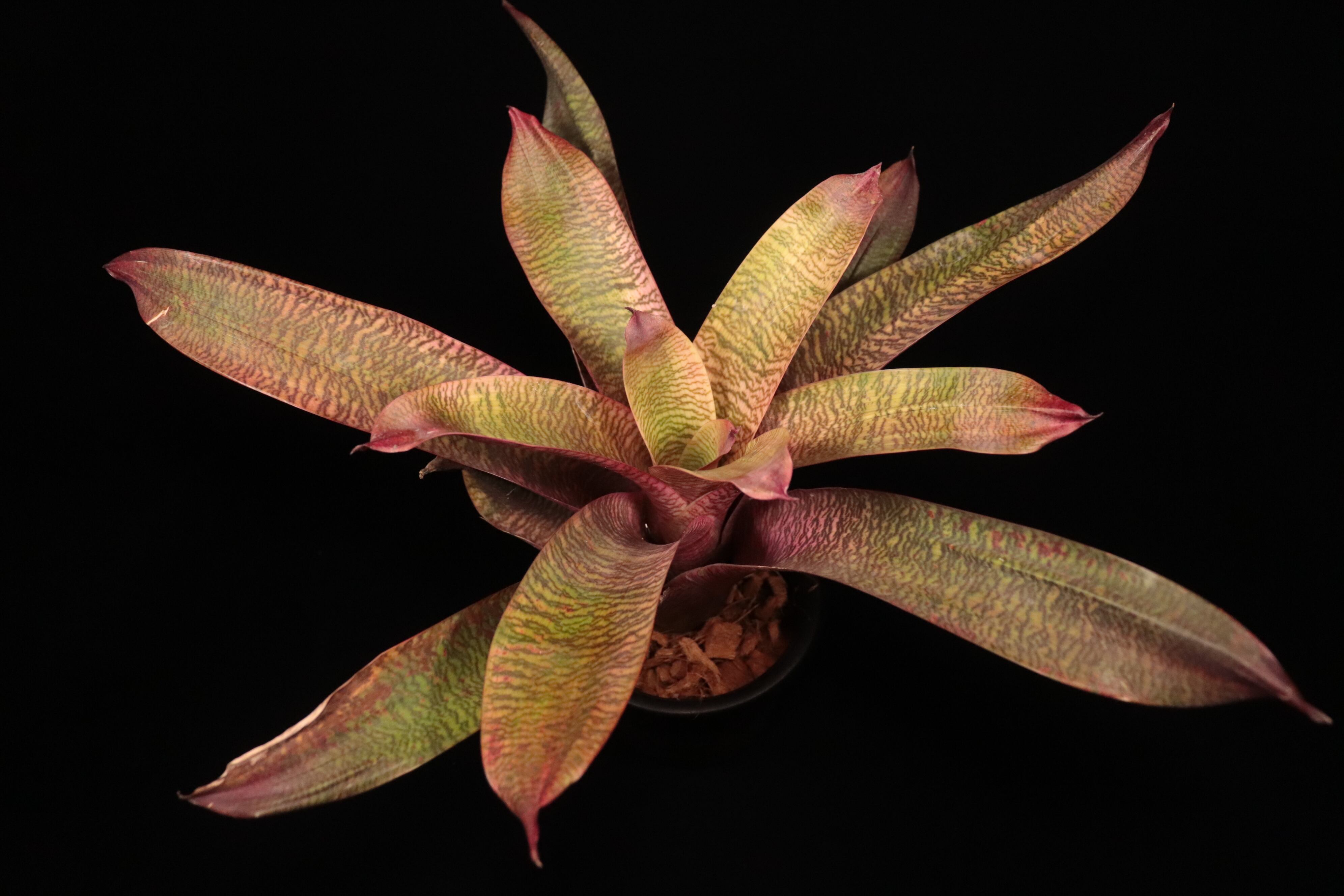 7bbff35144bc3c81502041e1dc0790