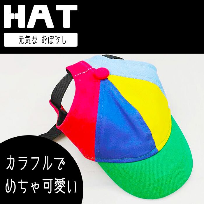 帽子】元気な おぼうし | G-snap