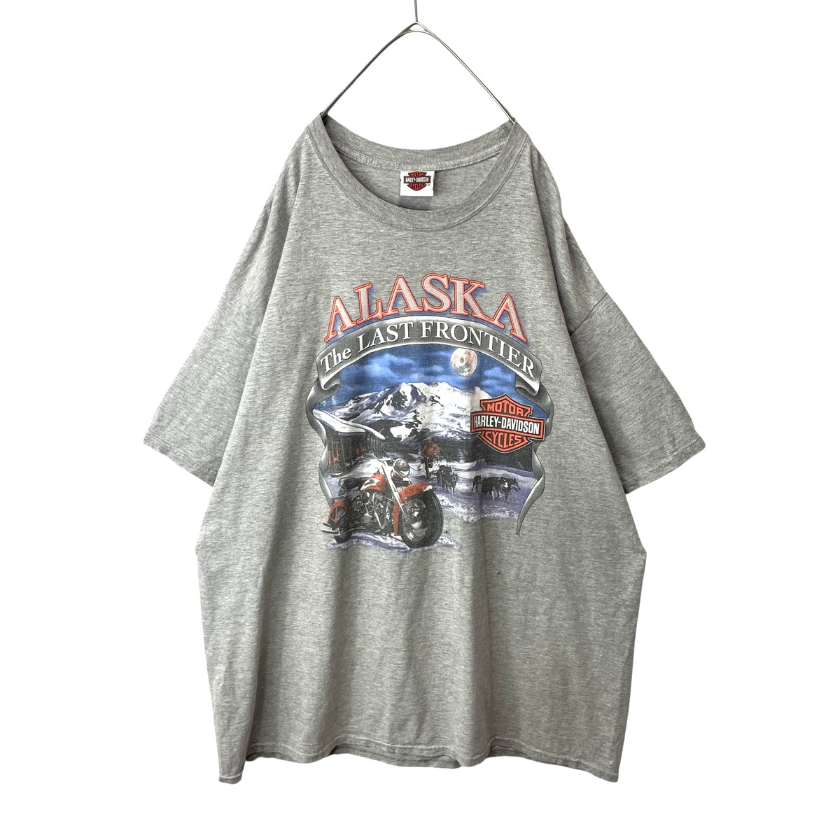 古着 ハーレーダビッドソン アラスカ Tシャツ バイカー 風景 シロクマ 