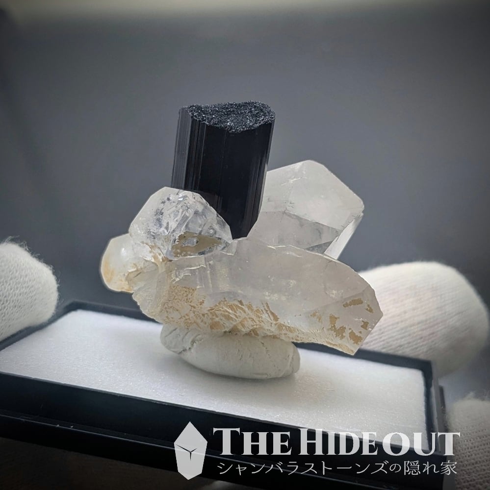 ヒマラヤ産鉱物原石標本029 タプレジュン地区産ショールトルマリン