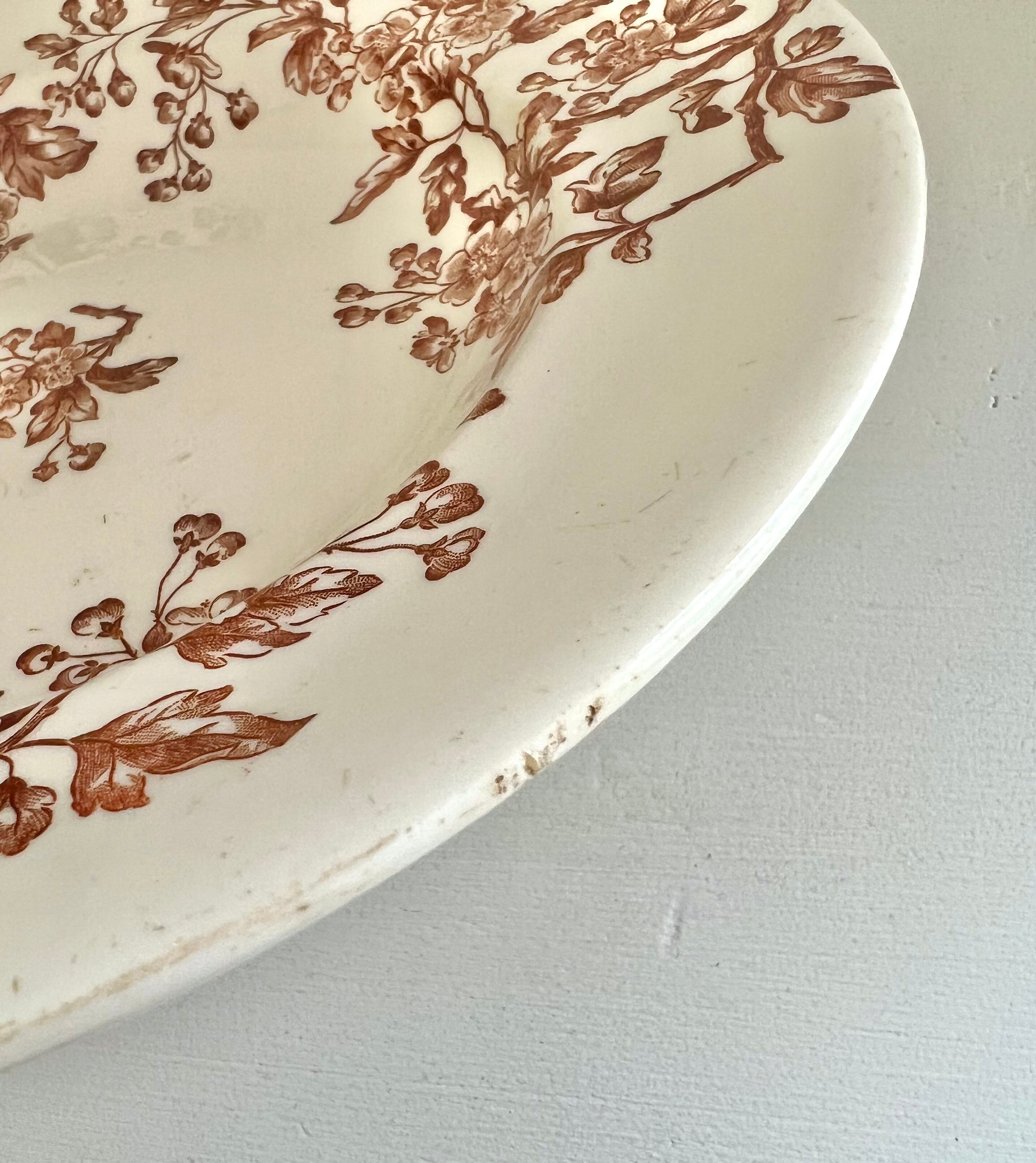Longwy épine 深皿2 | antiquemanon