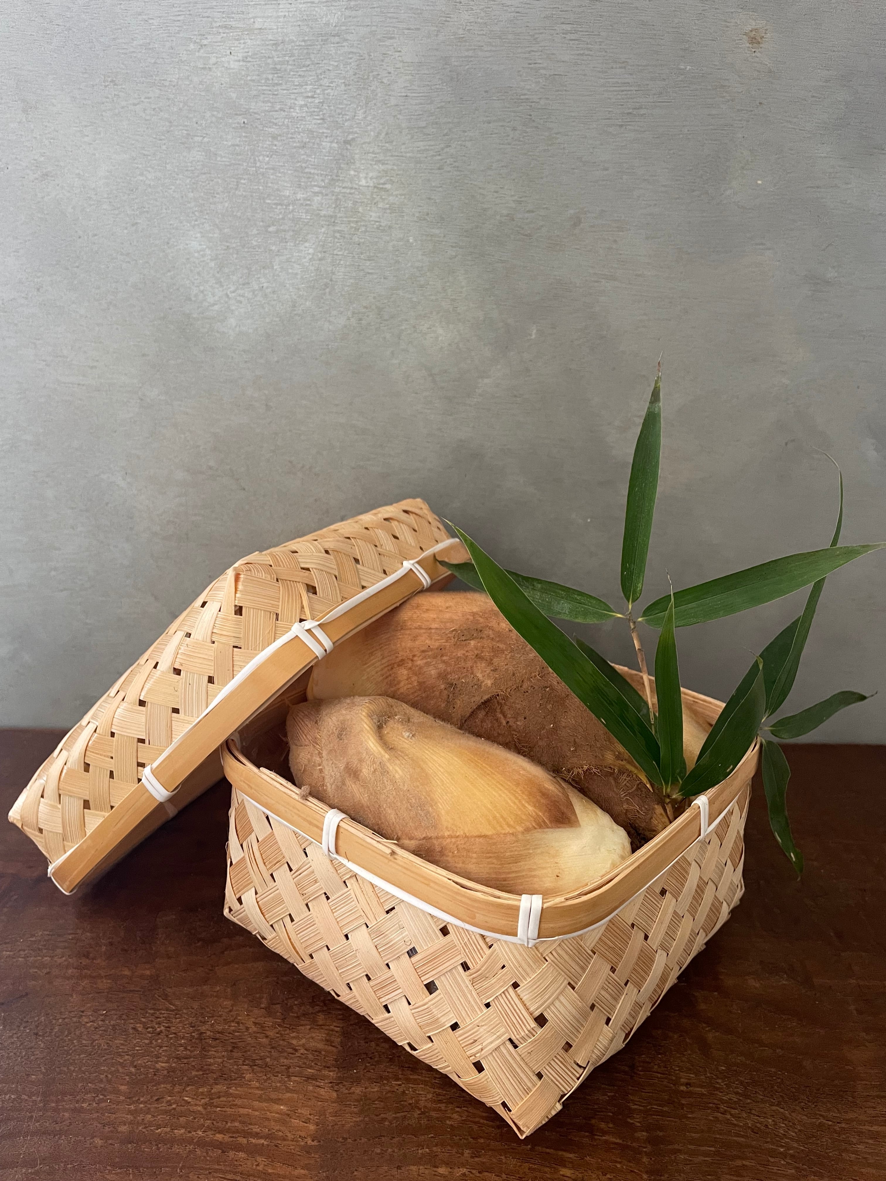 期間限定】京たけのこ竹籠（蓋付き）中小約1.5kg 日時指定不可 | 根蕈