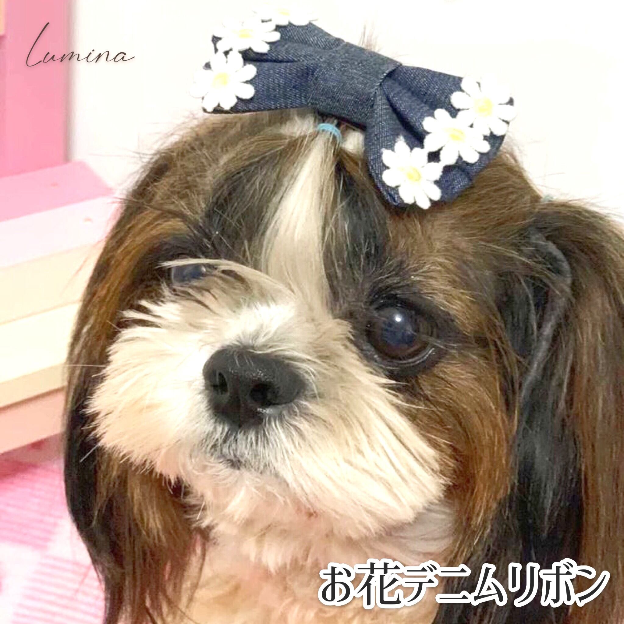 《犬リボン》デニムリボン 犬服 ドッグウェア ペット服 | LUMINA‐ルミナ‐