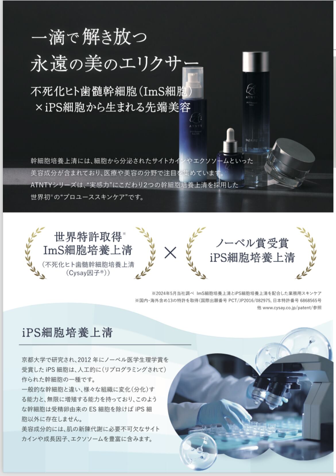 ATNTY IP CY エモータルクリーム | salon de glamorous By.milista