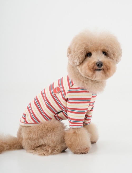 綿コットン100％のボーダーロンT‐　(RED)