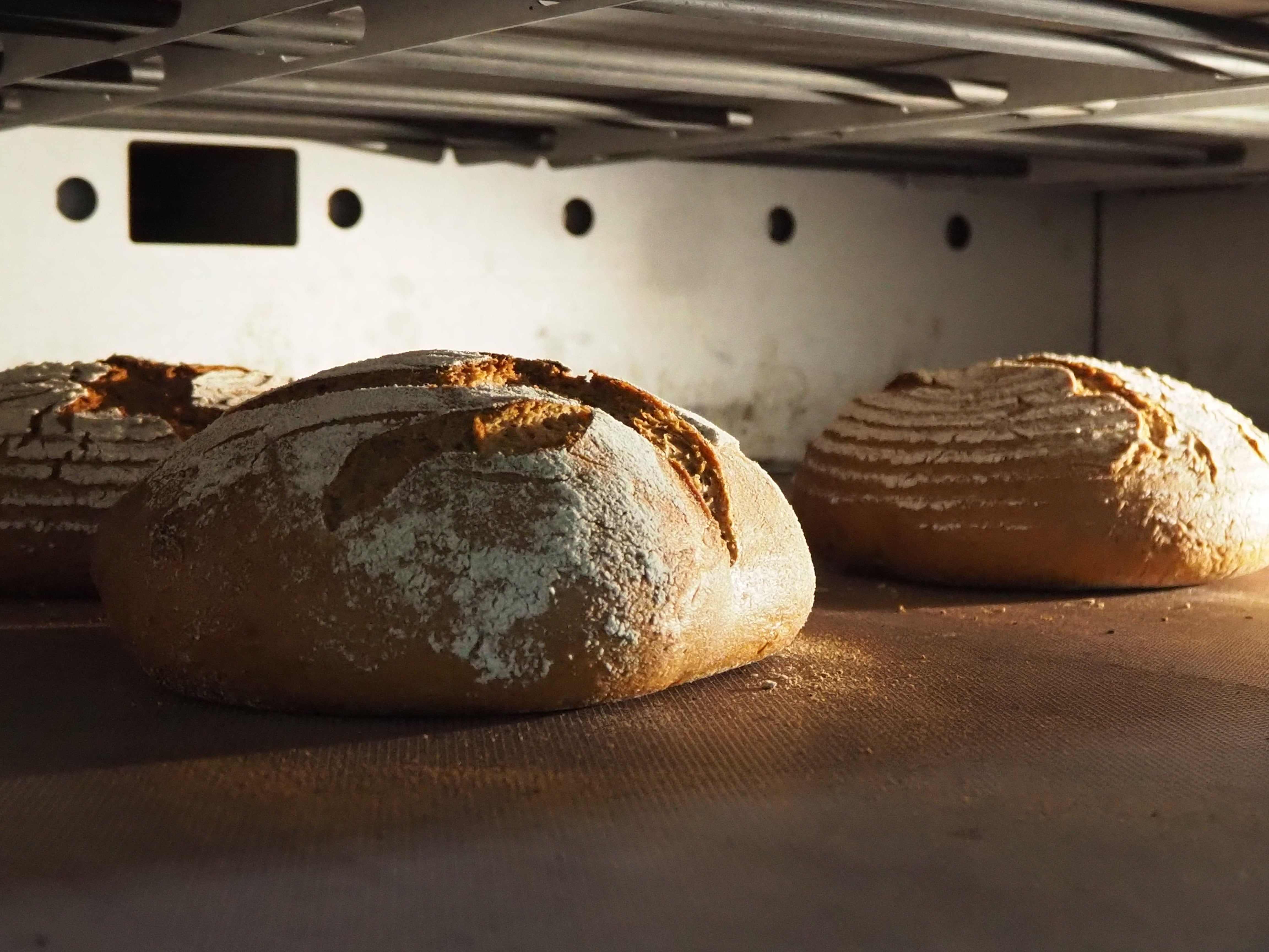 Blauのおすすめパンセット | ドイツパン backhausblau