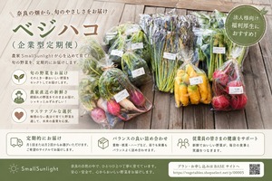 【企業向け定期便】ベジハコ（VEGE-HACO）Sサイズ