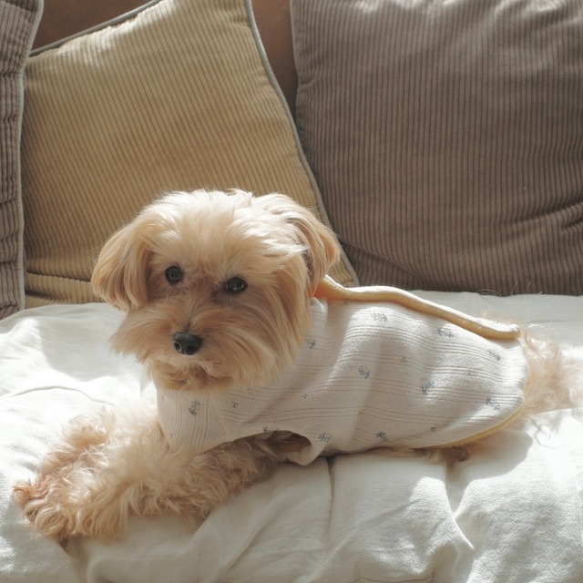 【マリーゴールド リバーシブル着るケット】メルトンフリース あったか着る毛布