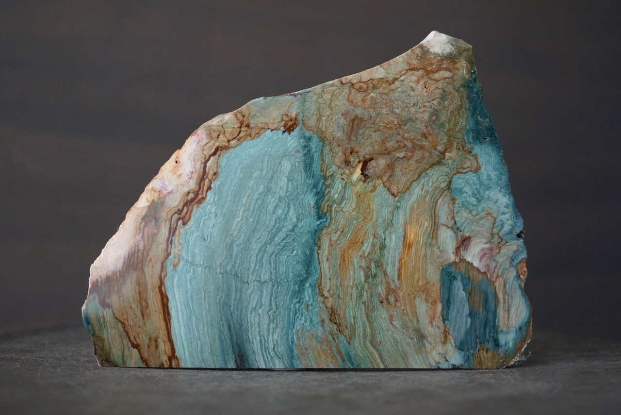 ゲイリーグリーン・ジャスパー (ペトリファイド・ボグウッド)　Gary Green Jasper 1417