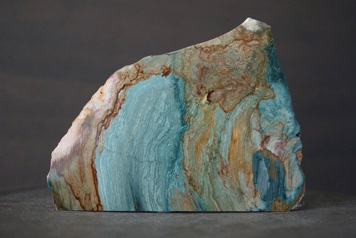 ゲイリーグリーン・ジャスパー (ペトリファイド・ボグウッド)　Gary Green Jasper 1417