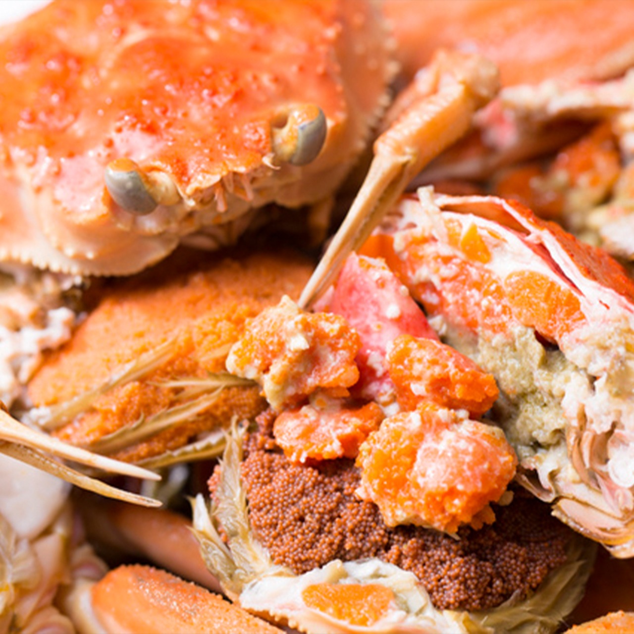 山陰冬の味覚/親ガニ/セコガニ/香箱/大サイズ/160g前後/5ハイ/当店こだわりの【吟醸蒸し】【冷凍】