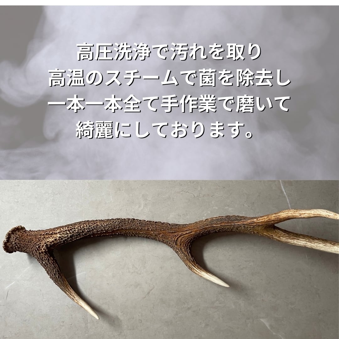 送料無料】北海道産蝦夷鹿の角 10㎝ 半割り 1本 犬のおやつ おもちゃ
