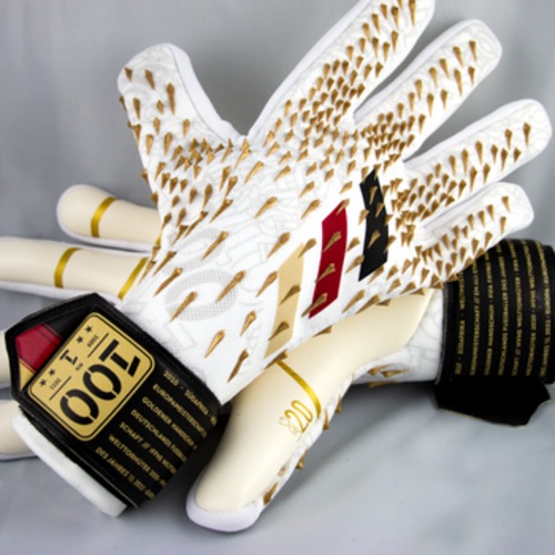 ノイアー ドイツ代表 100試合出場 記念グローブ Finest Gk Glove