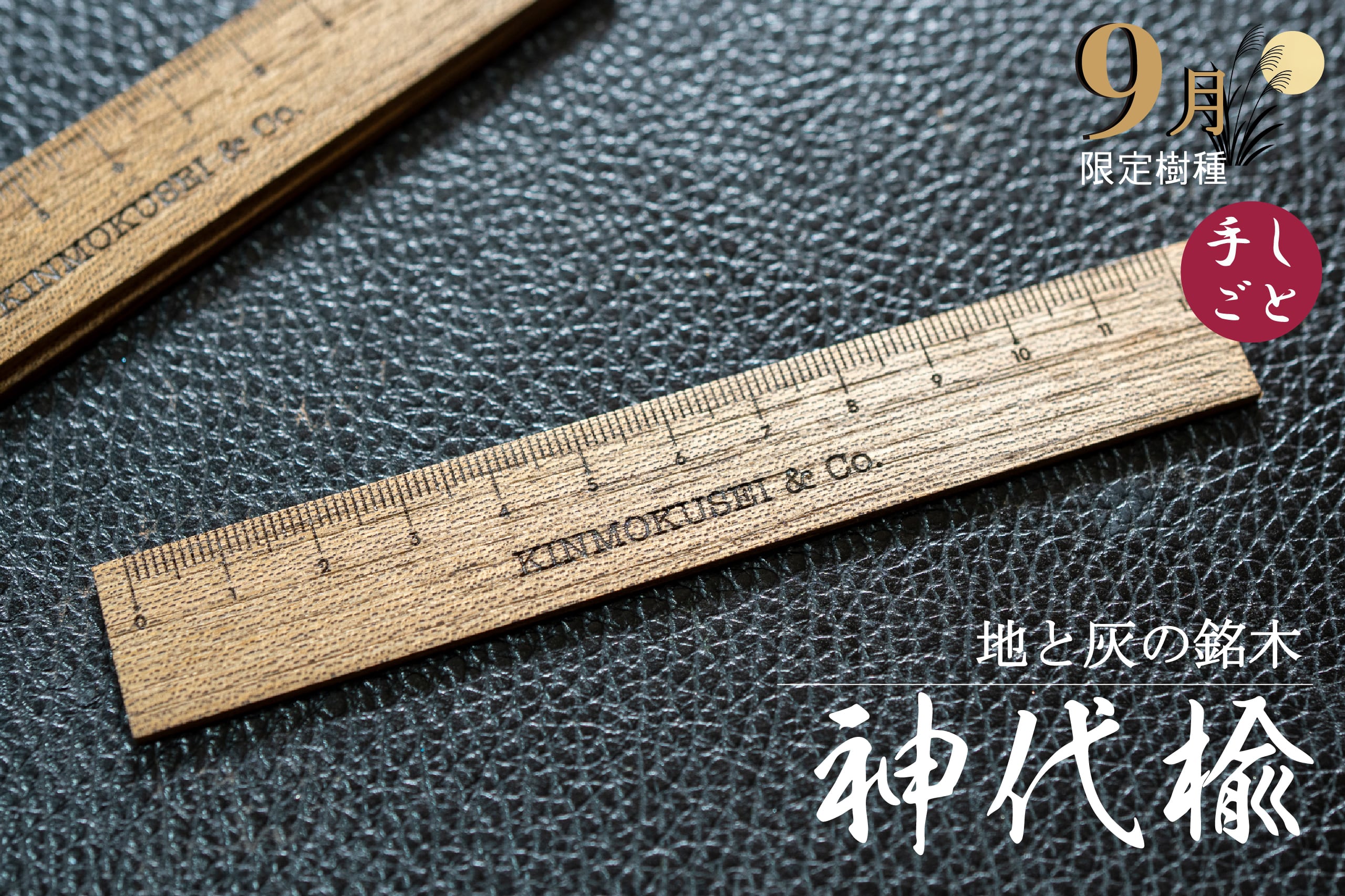 【 地と灰の銘木 】 神代楡(ニレ) 9月限定 12㎝