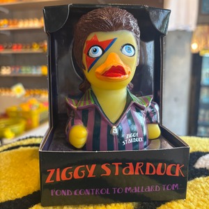 Celebri Ducks ZIGGY STARDUCK