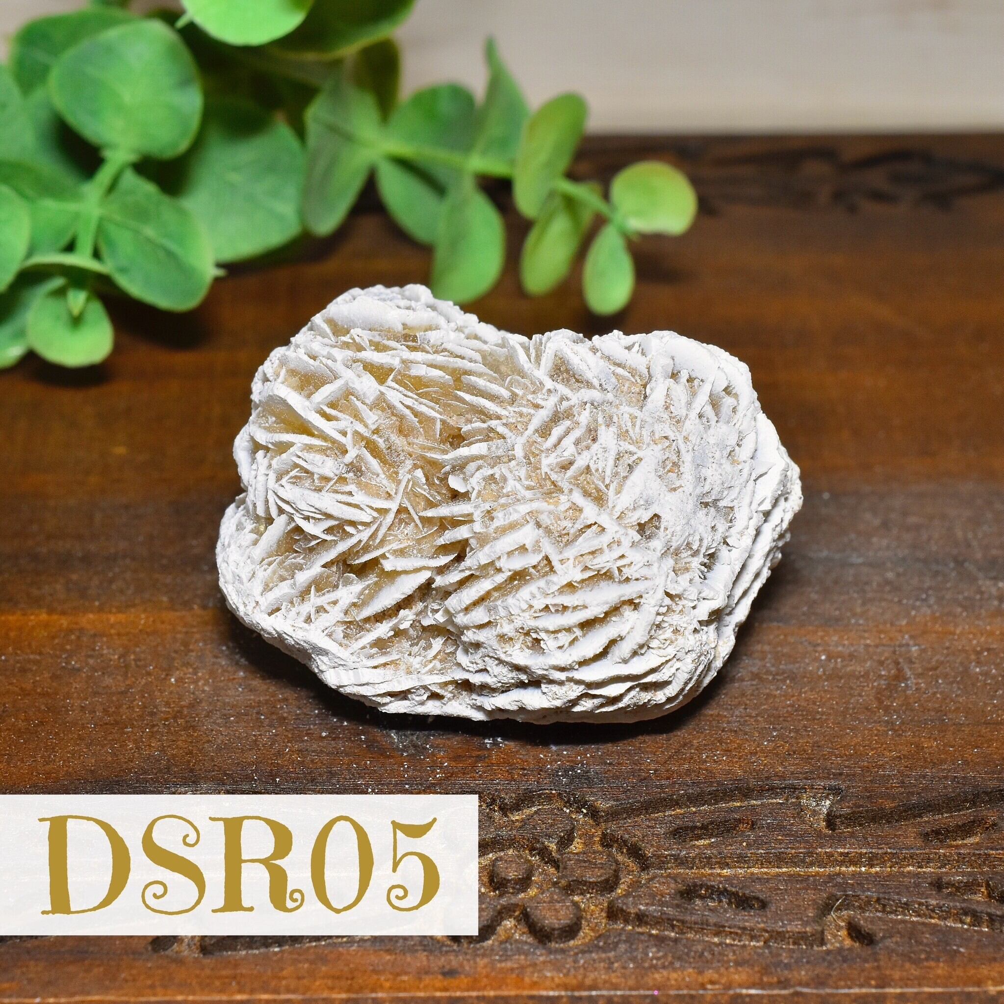 デザートローズ(ジプサムローズ) メキシコ産 DSR05