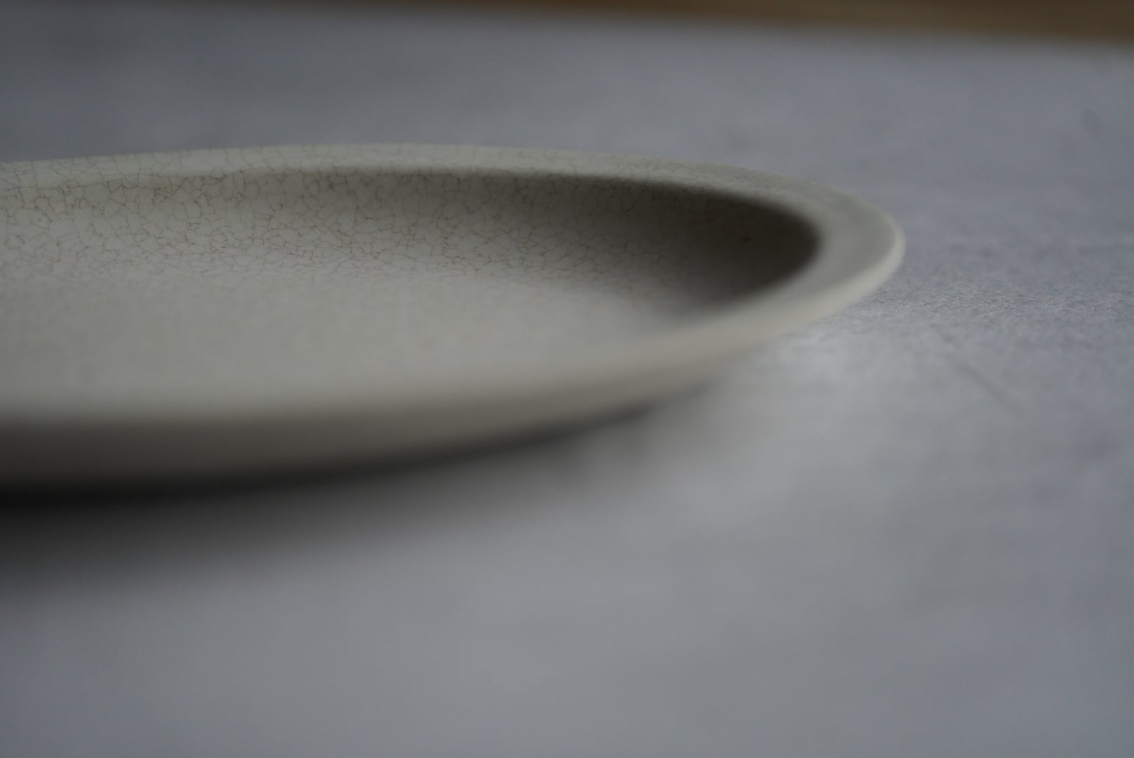 【コレクション株】 現地球 コミフォラ グイドッティ 活着済 船串篤司 作家鉢 船串篤司×コウノストモヤ 二人展 | 笠間観光 陶芸 笠間焼 お土産 お